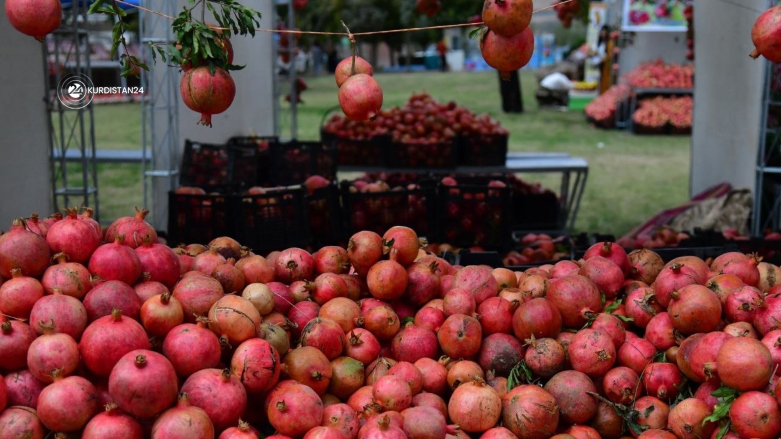 450 جووتیار و فرۆشیار بەشداری لە فێستیڤاڵی هەنار و پاییزی هەڵەبجە دەکەن